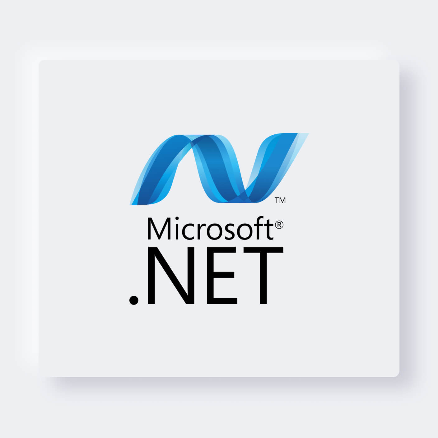 .NET - coding language